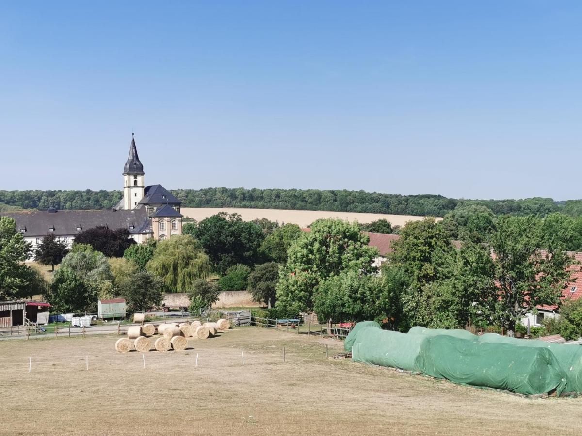 Ferienwohnung Alpakahof Goslar Eksteriør bilde